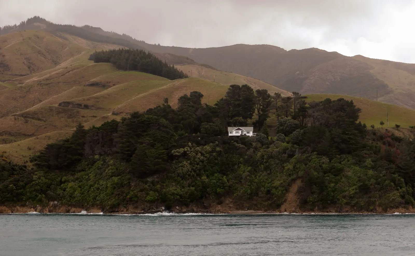 New Zealand residential home — adding or removing owners from the property title