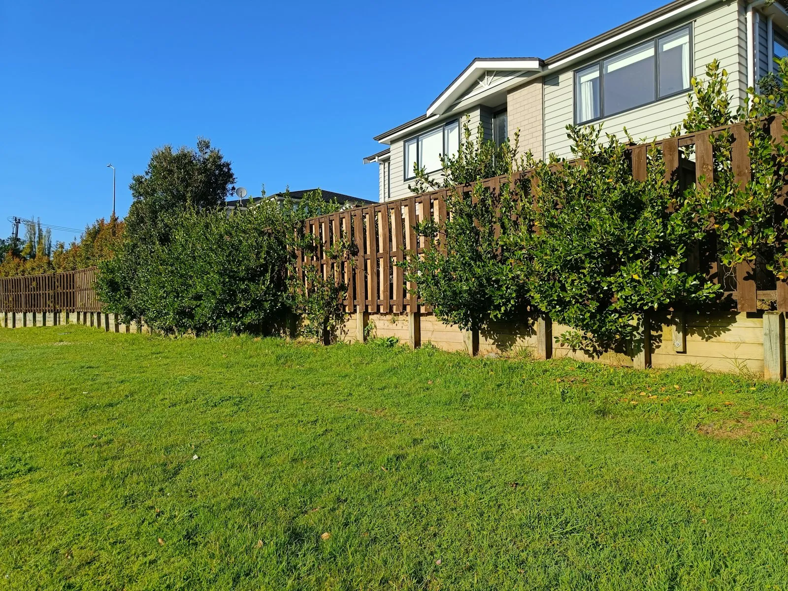 A modern New Zealand suburban home behind a hedge and timber fence