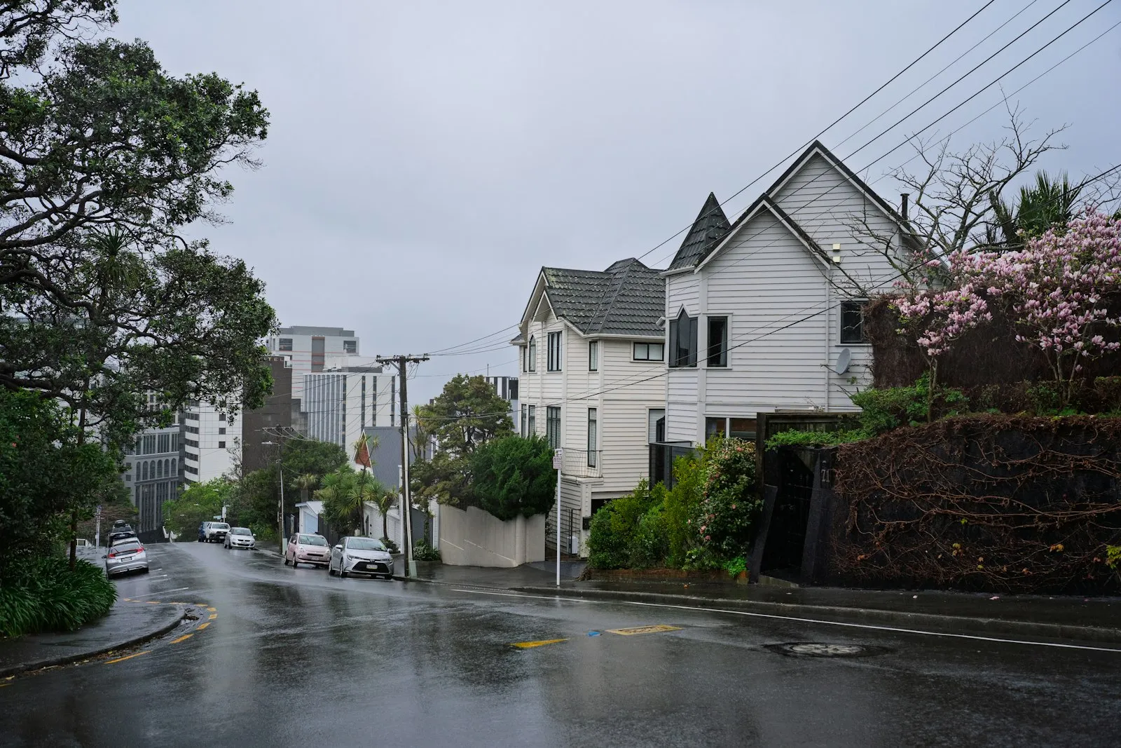 A New Zealand villa on a quiet residential street