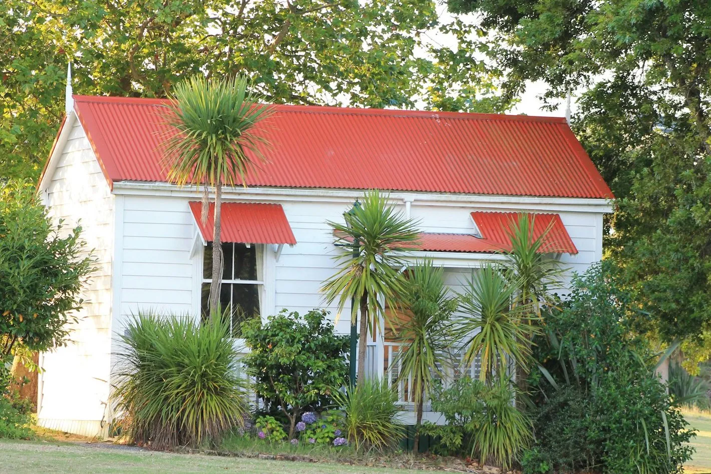 A pretty white weatherboard cottage with a red iron roof, cabbage trees and hydrangeas, New Zealand