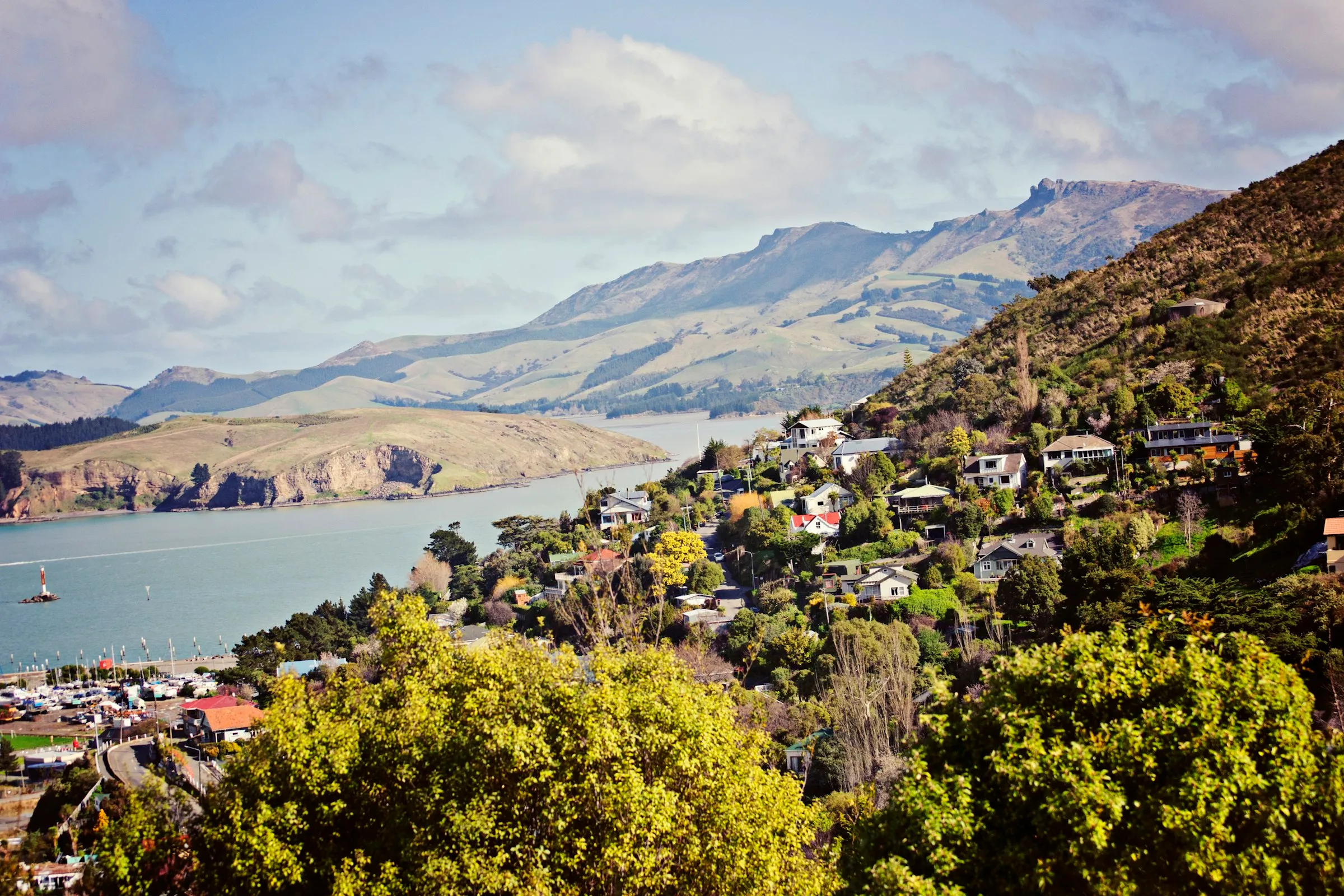 New Zealand hillside homes overlooking a harbour, representing a small property portfolio